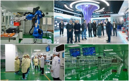 国家级矿用仪器仪表智能制造示范工厂通过验收
